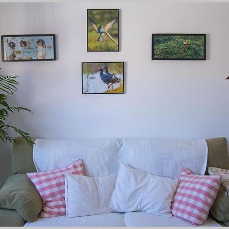 Casa De Los Pajaros Séville Extérieur photo