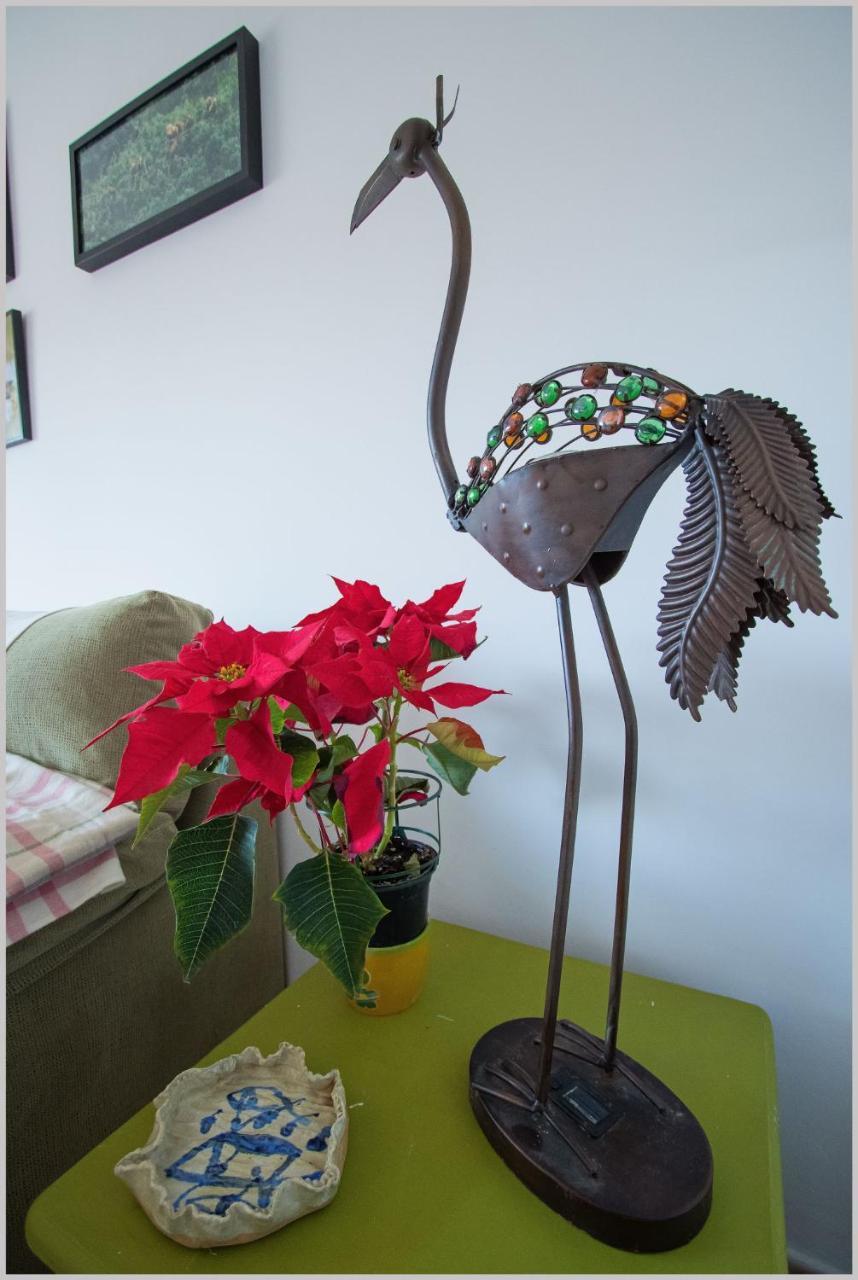 Casa De Los Pajaros Séville Extérieur photo