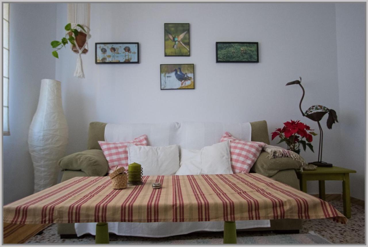 Casa De Los Pajaros Séville Extérieur photo
